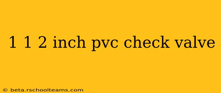 1 1 2 inch pvc check valve