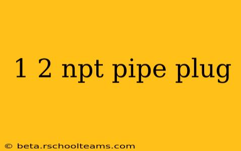 1 2 npt pipe plug