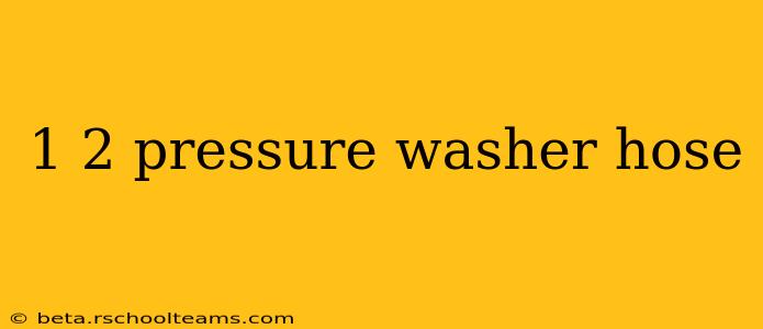 1 2 pressure washer hose