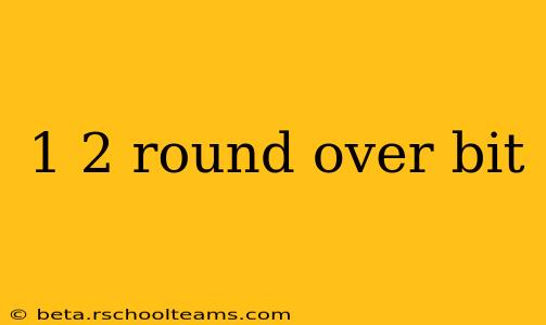 1 2 round over bit