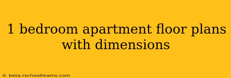1 bedroom apartment floor plans with dimensions