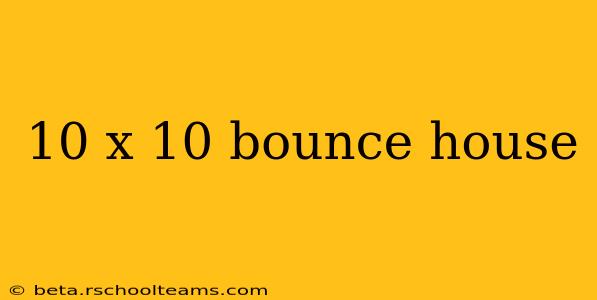 10 x 10 bounce house