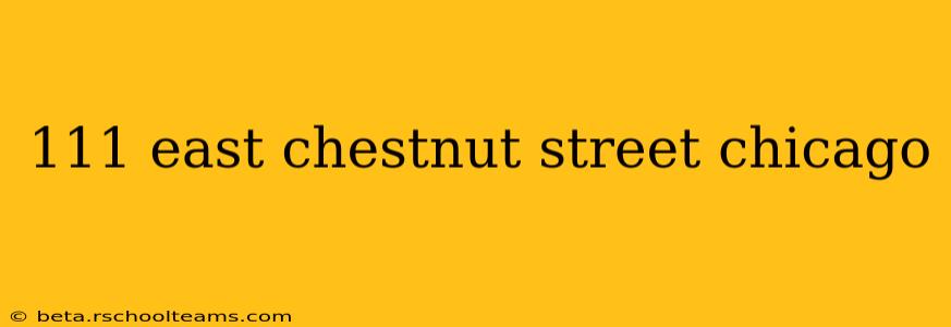 111 east chestnut street chicago