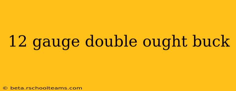12 gauge double ought buck