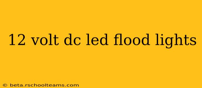 12 volt dc led flood lights
