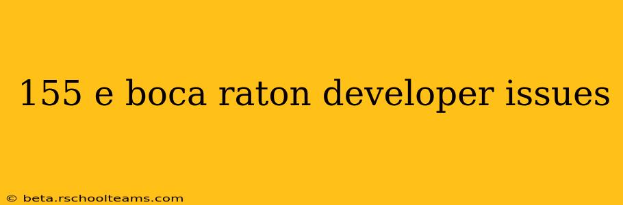 155 e boca raton developer issues