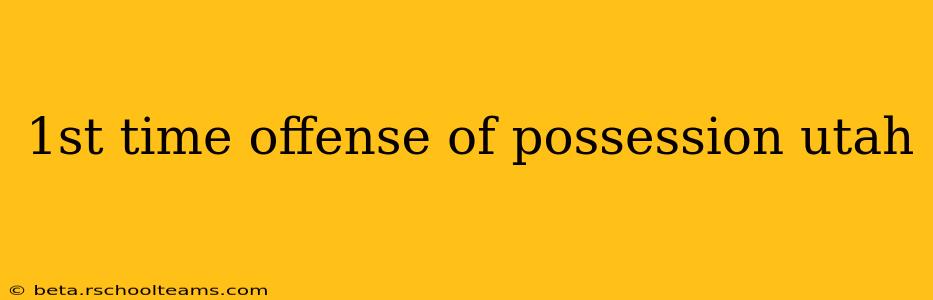 1st time offense of possession utah
