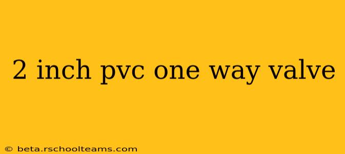 2 inch pvc one way valve