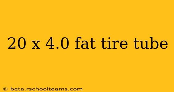 20 x 4.0 fat tire tube