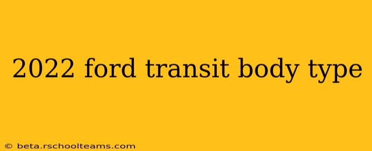 2022 ford transit body type