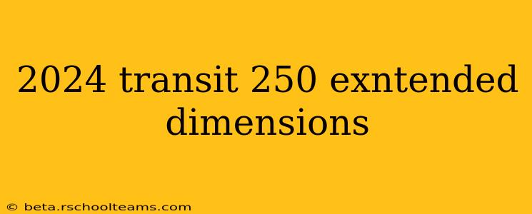 2024 transit 250 exntended dimensions