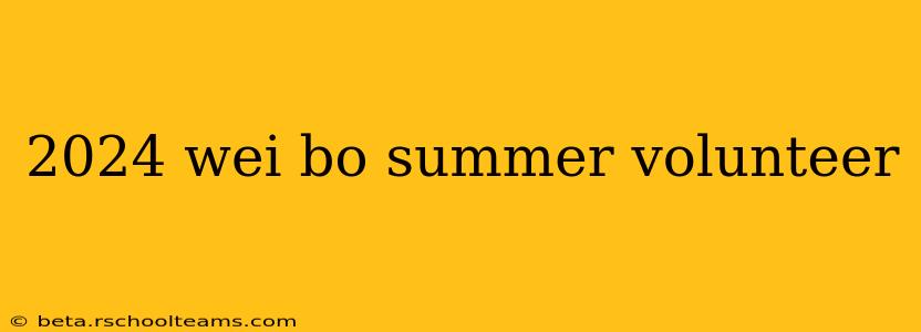 2024 wei bo summer volunteer