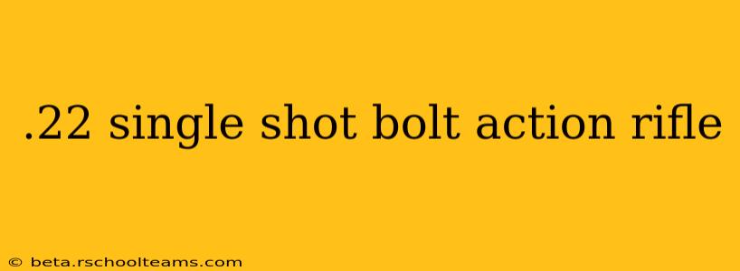 .22 single shot bolt action rifle