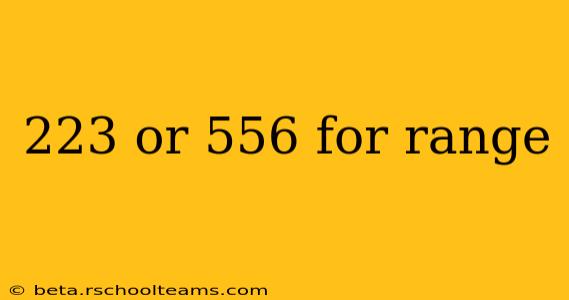 223 or 556 for range