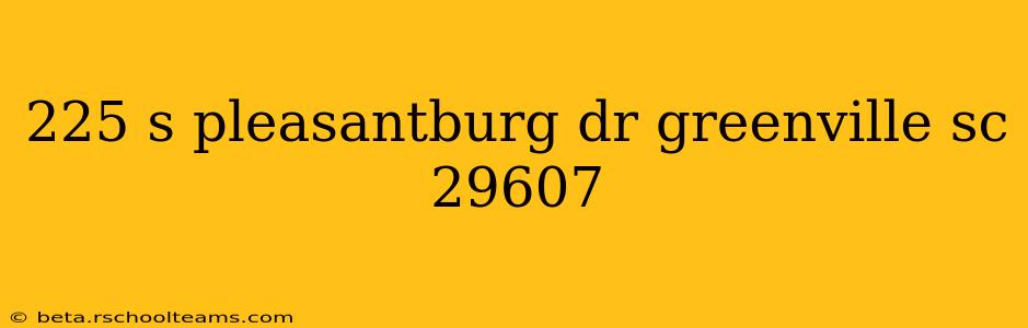 225 s pleasantburg dr greenville sc 29607