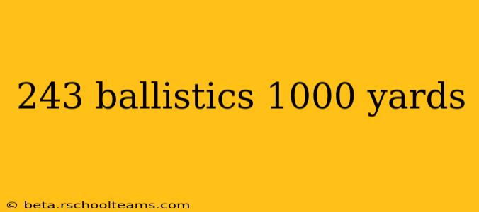 243 ballistics 1000 yards