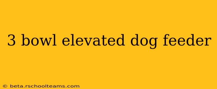 3 bowl elevated dog feeder