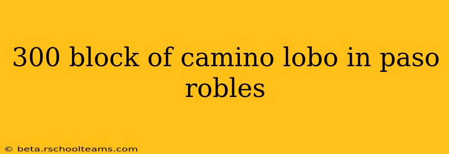 300 block of camino lobo in paso robles