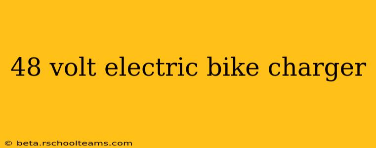 48 volt electric bike charger