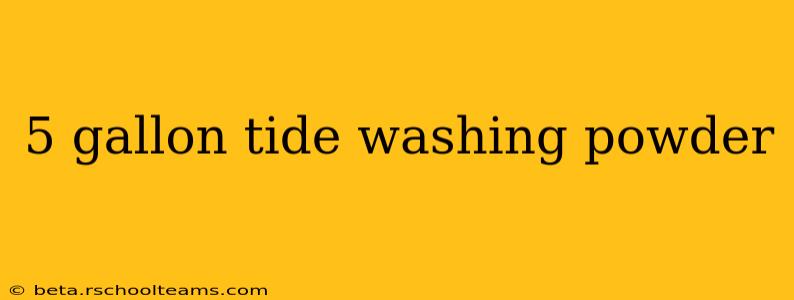 5 gallon tide washing powder
