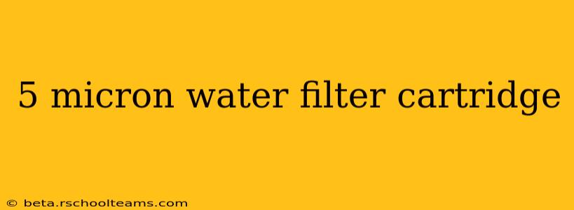 5 micron water filter cartridge