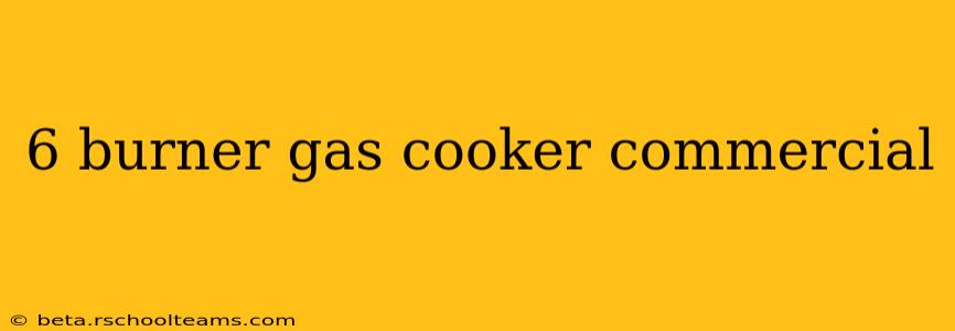 6 burner gas cooker commercial