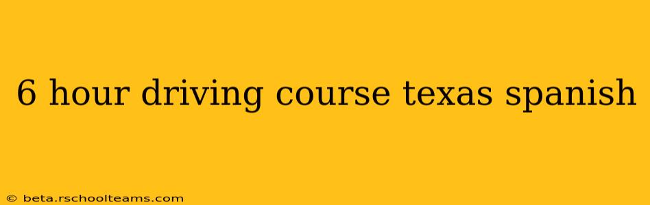 6 hour driving course texas spanish