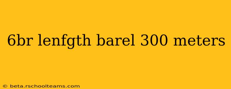 6br lenfgth barel 300 meters