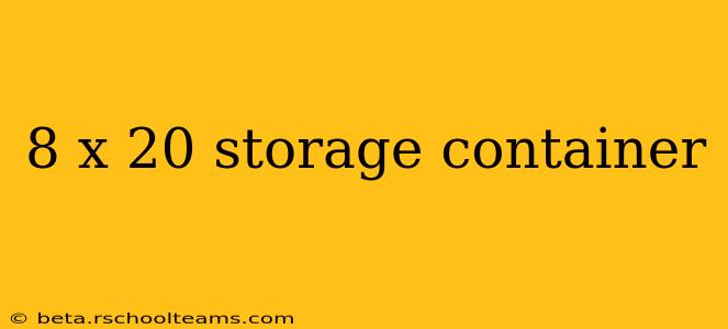 8 x 20 storage container