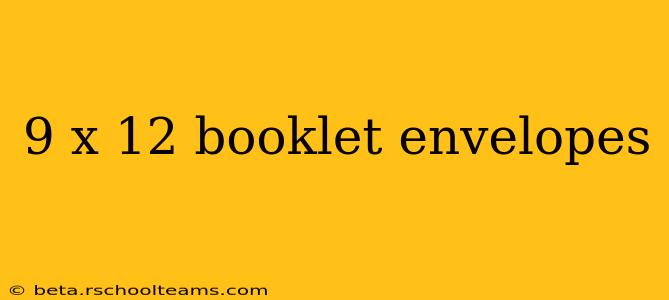 9 x 12 booklet envelopes
