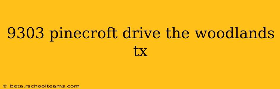 9303 pinecroft drive the woodlands tx