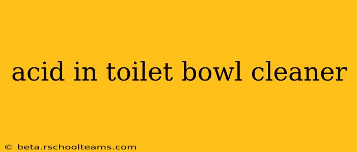acid in toilet bowl cleaner