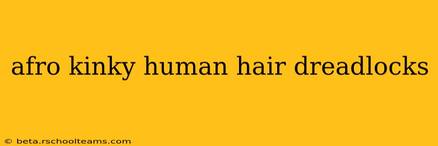 afro kinky human hair dreadlocks