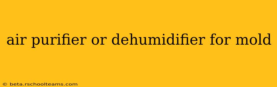 air purifier or dehumidifier for mold