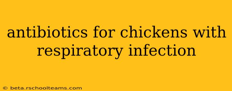 antibiotics for chickens with respiratory infection