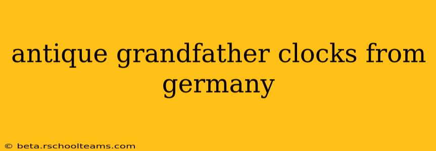 antique grandfather clocks from germany