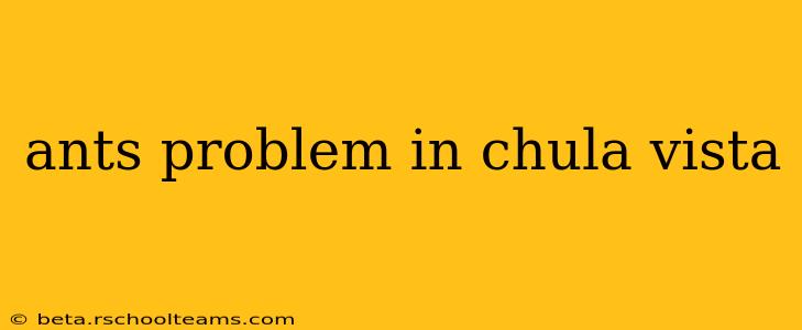 ants problem in chula vista