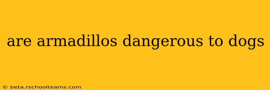 are armadillos dangerous to dogs