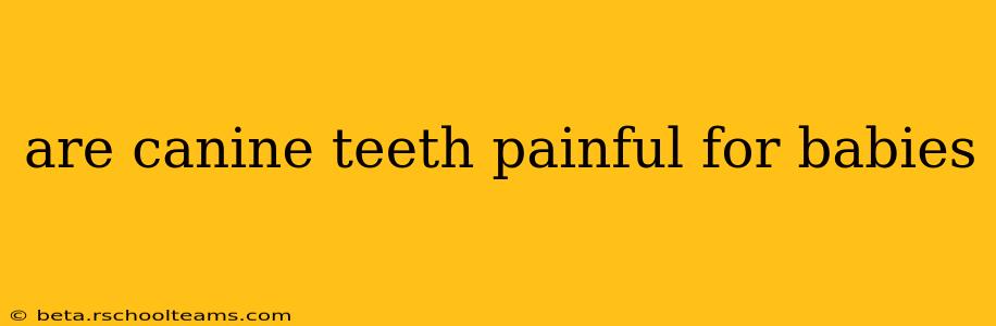 are canine teeth painful for babies