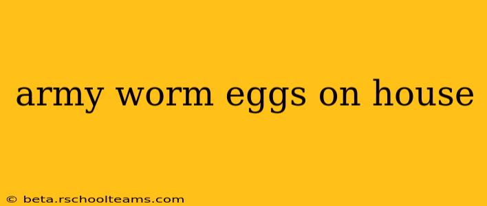 army worm eggs on house