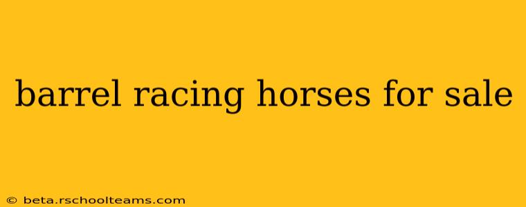 barrel racing horses for sale