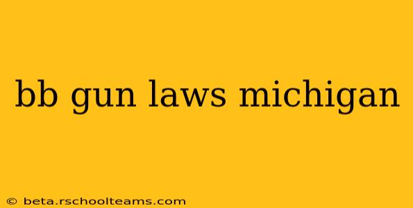 bb gun laws michigan