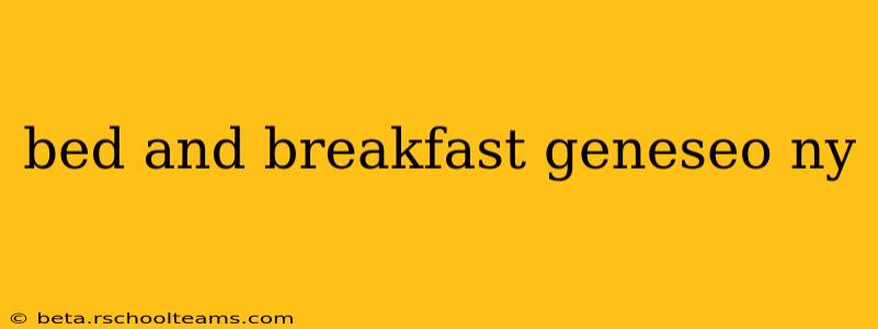 bed and breakfast geneseo ny