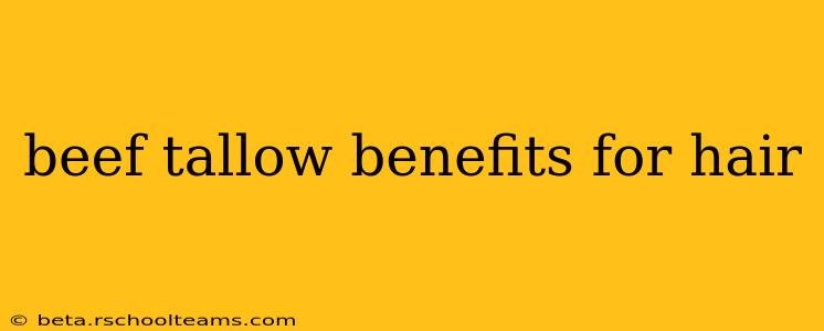 beef tallow benefits for hair