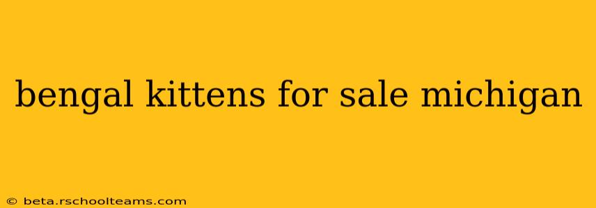 bengal kittens for sale michigan