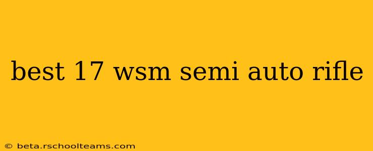 best 17 wsm semi auto rifle