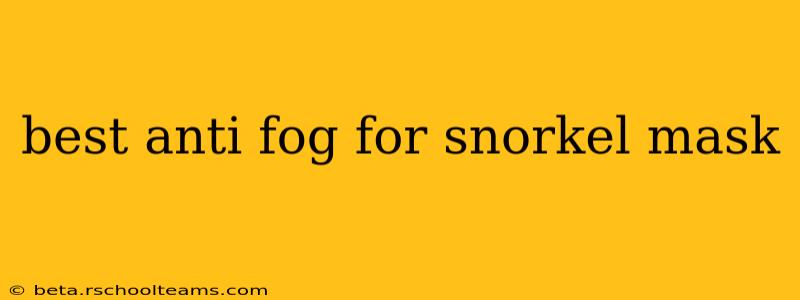 best anti fog for snorkel mask