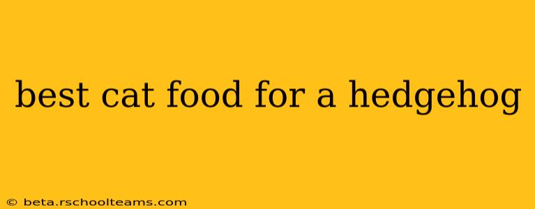 best cat food for a hedgehog