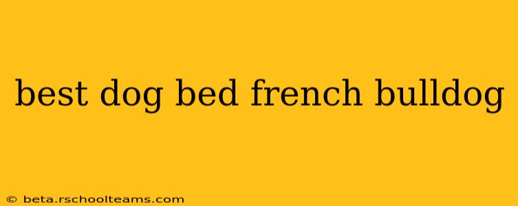 best dog bed french bulldog