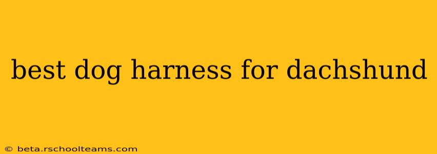 best dog harness for dachshund